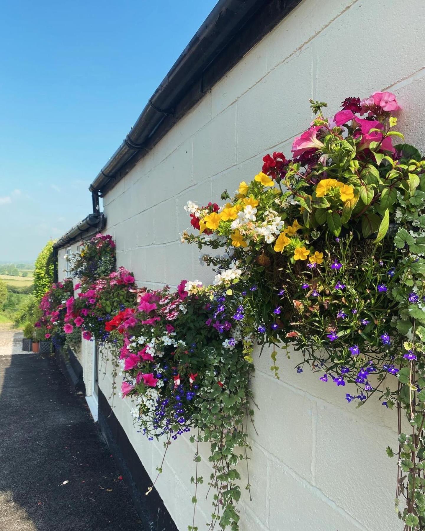 Little Park Holiday Homes Self Catering Cottages 1 & 2 Bedrooms Available Close To Tutbury Castle Eksteriør billede